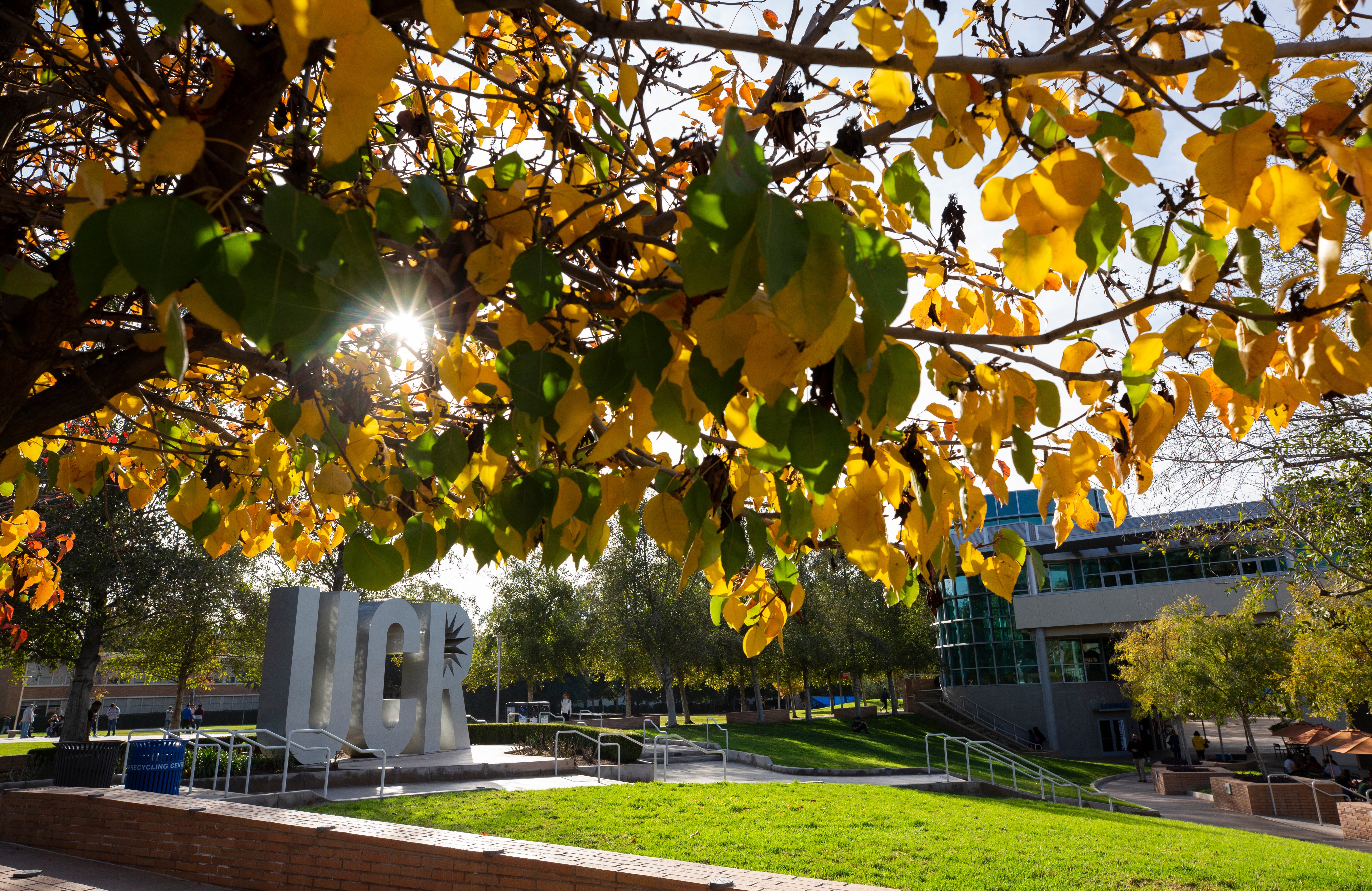 UCR fall campus